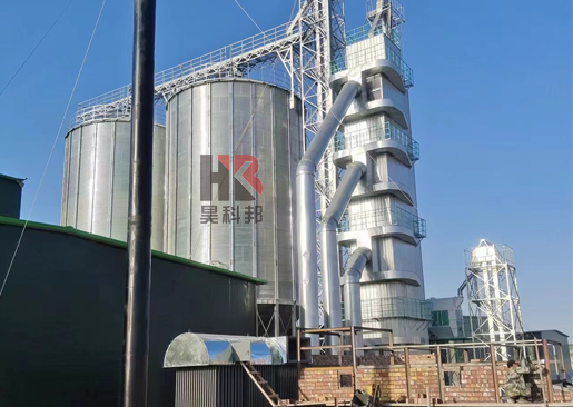 200噸糧食烘干塔