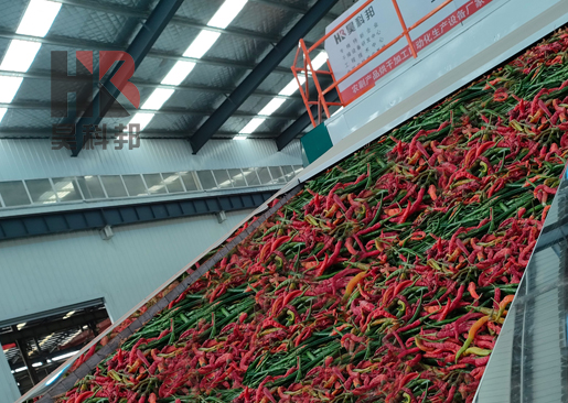 辣椒烘干機