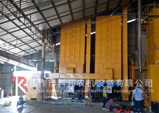 泰國(guó)一拖四水稻烘干機(jī)